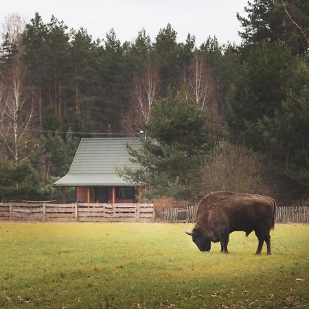 Lesna 21 Dom Polnoc Przy Zalew Siemianowka Villa Luka Bagian luar foto