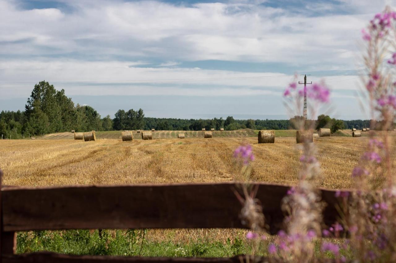 Lesna 21 Dom Polnoc Przy Zalew Siemianowka Villa Luka Bagian luar foto